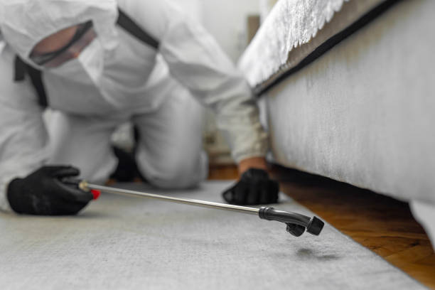 Professional Cockroach Control technician working in Durand, IL
